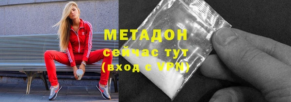 прущие грибы Медногорск