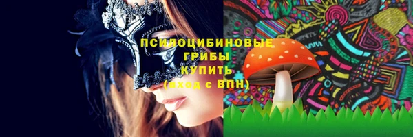 прущие грибы Медногорск