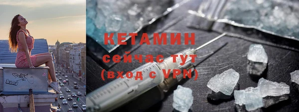 прущие грибы Медногорск