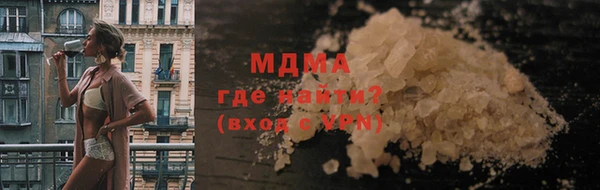 прущие грибы Михайлов