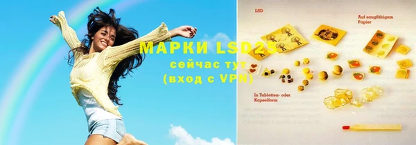 прущие грибы Медногорск