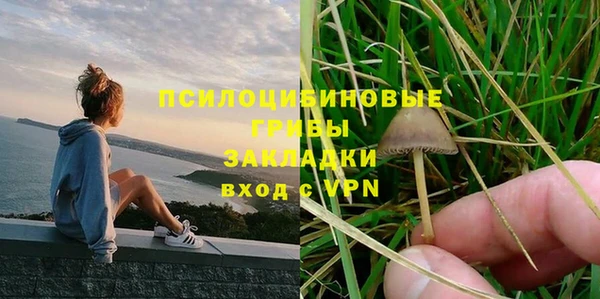 2c-b Медвежьегорск