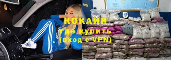 прущие грибы Медногорск