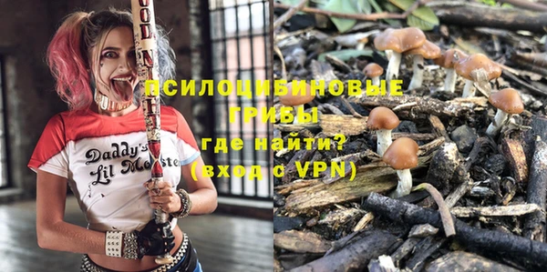 прущие грибы Медногорск